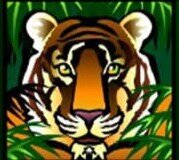 adventure palace tiger symbol