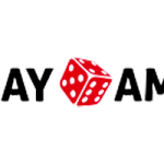 PlayAmo Casino Review 2024